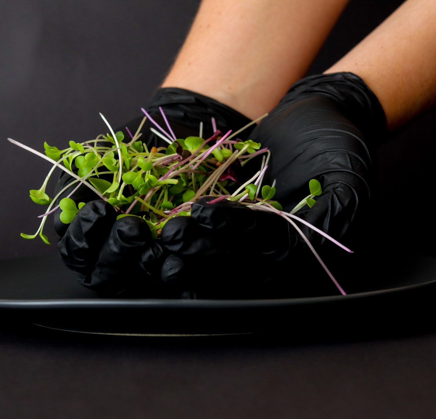 Fresh Arable microgreens