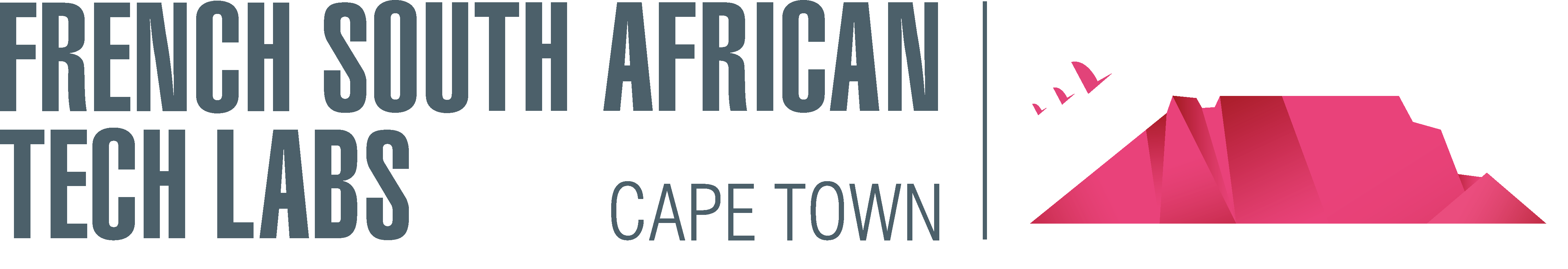 French South African Tech Labs