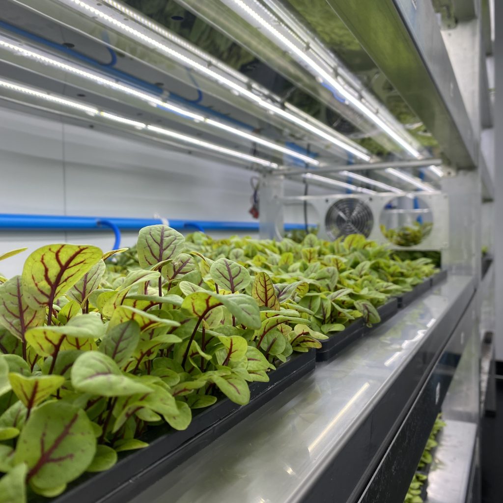 Arable vertical farm in Cape Town